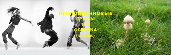 а пвп мука Ельня