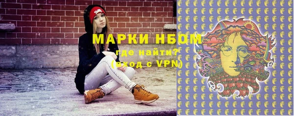 стаф Елизово
