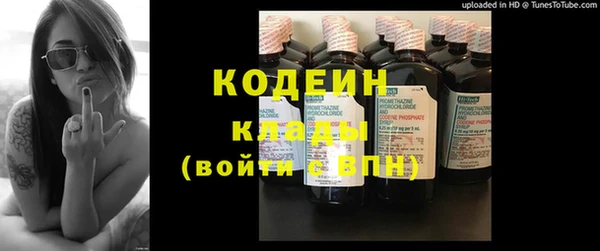 дживик Елабуга