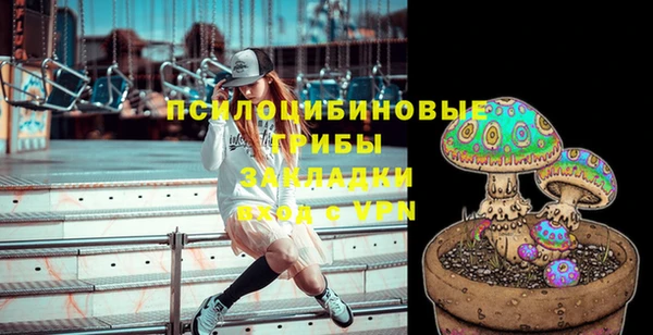 стаф Елизово