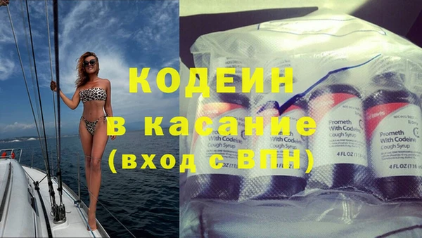 стаф Елизово