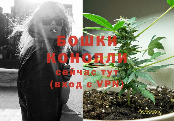 дживик Елабуга
