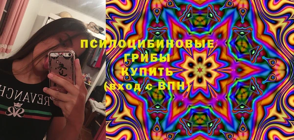 стаф Елизово
