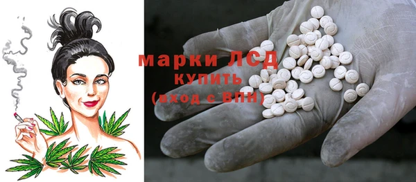 стаф Елизово