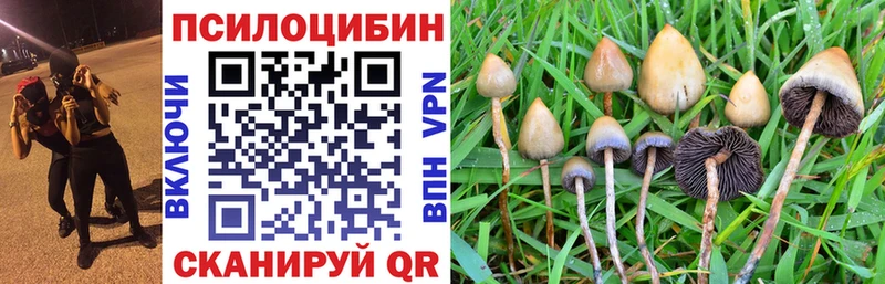 Псилоцибиновые грибы мицелий  Купить где  Лысьва 